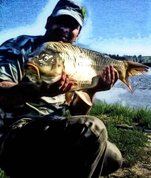 pasiunea mea - b298637717e5e0c4040a2f2e71f0e4d7.jpg